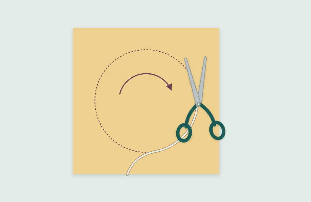 Scissors cutting along a curved line while the paper is turned into the blades